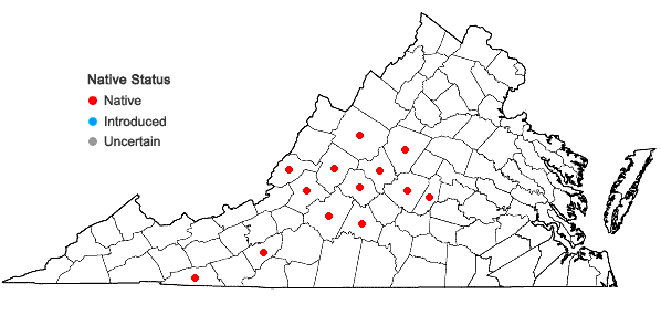 Locations ofStachys subcordata Rydb. in Virginia