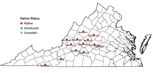 Locations ofStachys subcordata Rydb. in Virginia