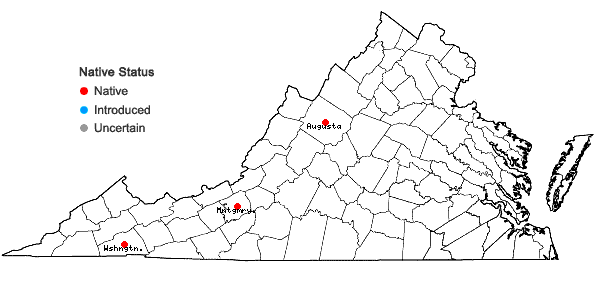 Locations ofSteironema quadriflorum (Sims) A.S. Hitchcock in Virginia