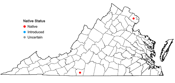 Locations ofStellaria alsine Grimm in Virginia