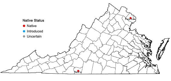 Locations ofStellaria alsine Grimm in Virginia