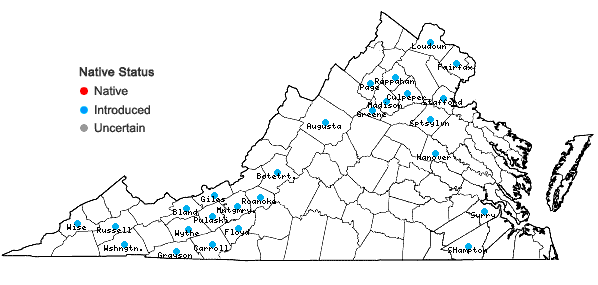 Locations ofStellaria aquatica (L.) Scopoli in Virginia