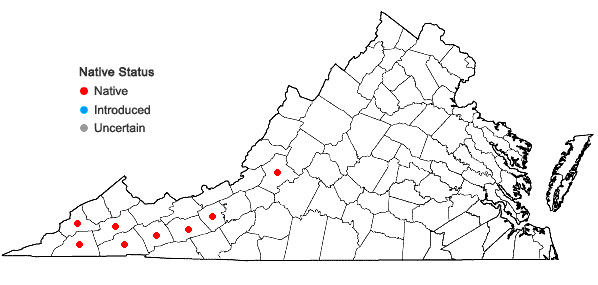 Locations ofStellaria corei Shinners in Virginia