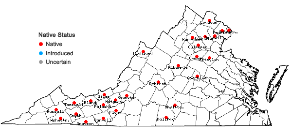 Locations ofStellaria longifolia Muhl. in Virginia