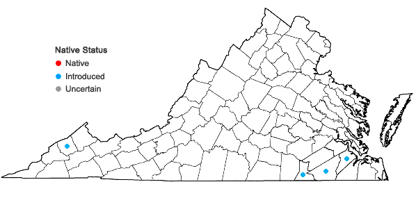 Locations ofStellaria pallida (Dumort.) Crepin in Virginia