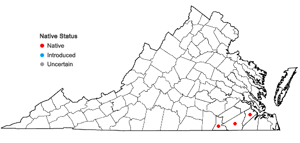 Locations ofStenanthium densum (Desr.) Zomlefer & Judd in Virginia