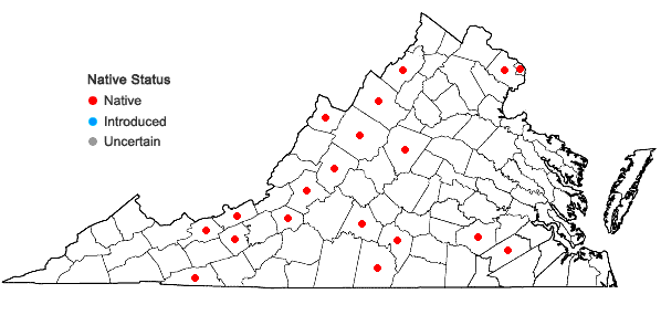 Locations ofStenanthium gramineum (Ker-Gawl.) Morong var. gramineum in Virginia