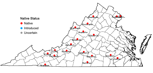 Locations ofStenanthium gramineum (Ker-Gawl.) Morong var. gramineum in Virginia