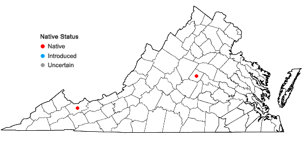 Locations ofStenanthium gramineum (Ker-Gawl.) Morong var. robustum (S. Wats.) Fern. in Virginia