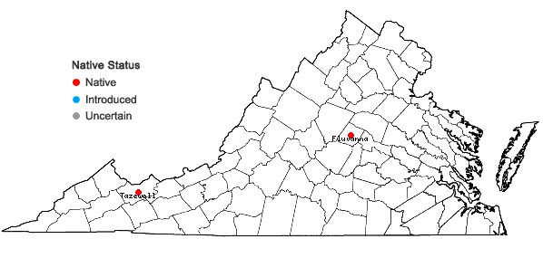 Locations ofStenanthium gramineum (Ker-Gawl.) Morong var. robustum (S. Wats.) Fern. in Virginia