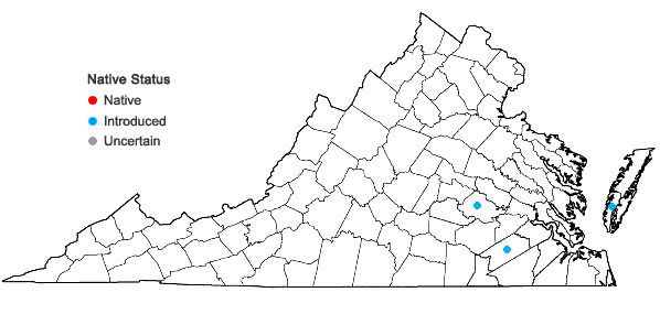 Locations ofStenotaphrum secundatum (Walt.) Kuntze in Virginia