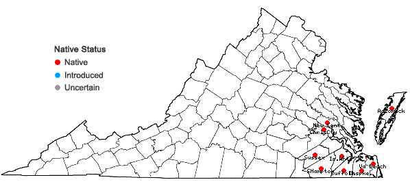 Locations ofStewartia malacodendron L. in Virginia