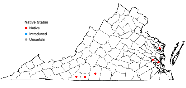 Locations ofStewartia ovata (Cav.) Weatherby in Virginia