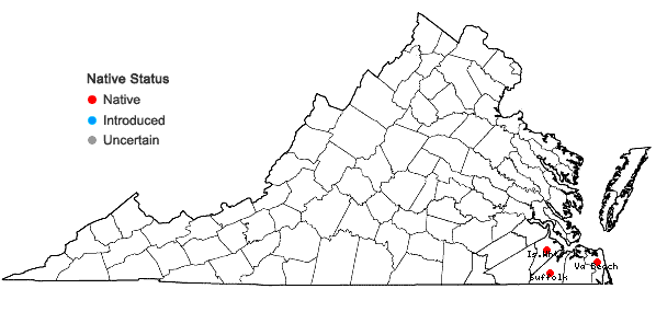 Locations ofStipulicida setacea Michx. in Virginia