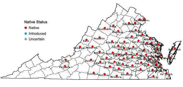 Locations ofStrophostyles helvola (L.) Ell. in Virginia