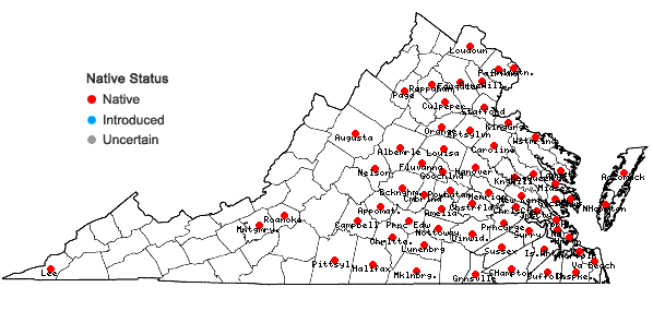 Locations ofStrophostyles umbellata (Muhl. ex Willd.) Britt. in Virginia
