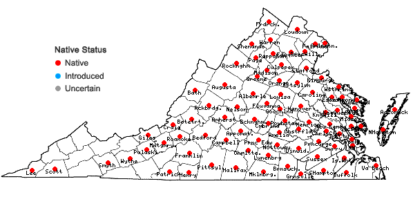 Locations ofStylosanthes biflora (L.) B.S.P. in Virginia