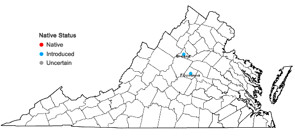 Locations ofStyrax japonicus Sieb. & Zucc. in Virginia