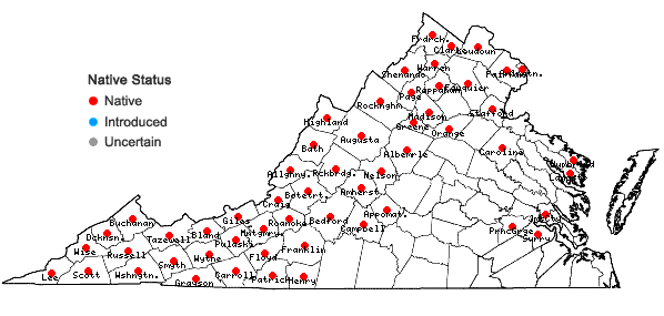 Locations ofSwida alternifolia (L.f.) Small in Virginia