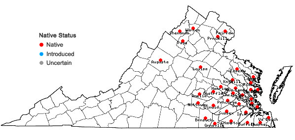 Locations ofSwida foemina (P. Miller) Rydberg in Virginia