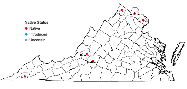 Locations ofSwida obliqua (Raf.) Moldenke in Virginia