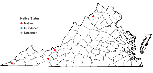 Locations ofSymphoricarpos albus (L.) Blake var. albus in Virginia