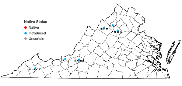 Locations ofSymphoricarpos albus (L.) Blake var. laevigatus (Fern.) Blake in Virginia