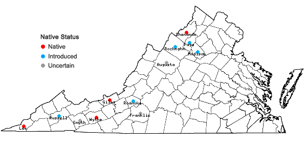 Locations ofSymphoricarpos albus (L.) Blake in Virginia