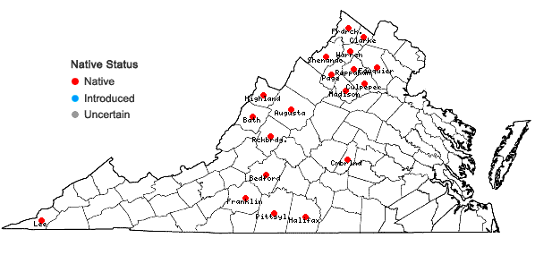 Locations ofSymphyotrichum concinnum (Willd.) Mohlenbr. in Virginia