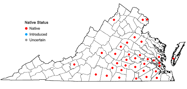 Locations ofSymphyotrichum concolor (L.) Nesom in Virginia
