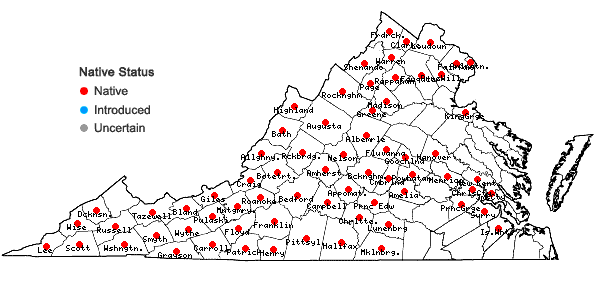 Locations ofSymphyotrichum cordifolium (L.) Nesom in Virginia