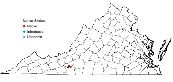 Locations ofSymphyotrichum dumosum (L.) Nesom var. strictior (Torr. & Gray) Nesom in Virginia