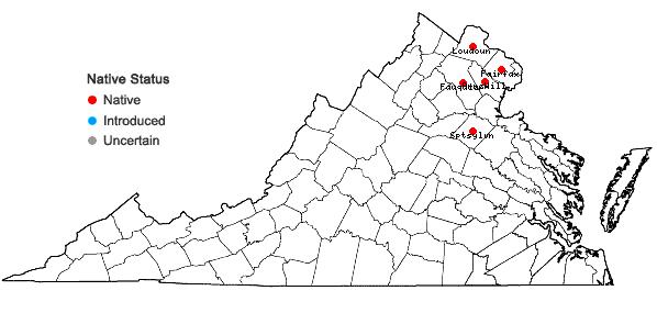 Locations ofSymphyotrichum ericoides (L.) Nesom var. ericoides in Virginia