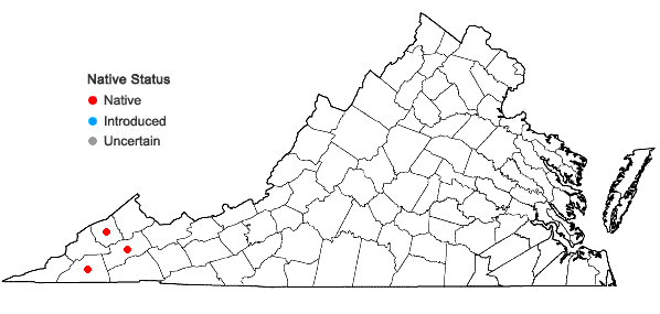 Locations ofSymphyotrichum ontarionis (Wiegand) Nesom var. ontarionis in Virginia