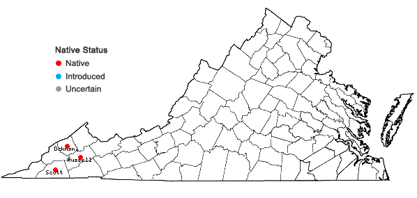 Locations ofSymphyotrichum ontarionis (Wiegand) Nesom var. ontarionis in Virginia
