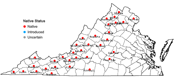 Locations ofSymphyotrichum phlogifolium (Muhl. ex Willd.) Nesom in Virginia