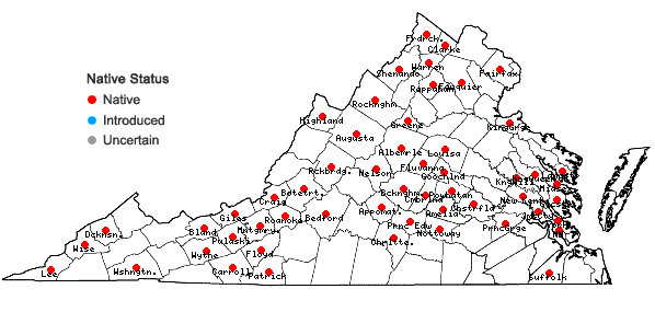 Locations ofSymphyotrichum pilosum (Willd.) Nesom var. pilosum in Virginia