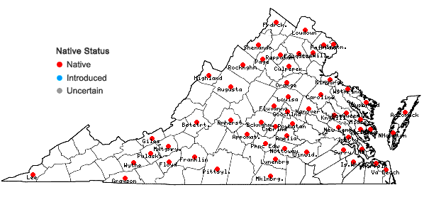 Locations ofSymphyotrichum pilosum (Willd.) Nesom var. pringlei (Gray) Nesom in Virginia