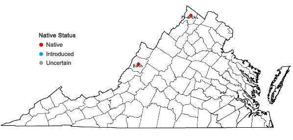 Locations ofSymphyotrichum praealtum (Poir.) Nesom var. angustior (Wieg.) Nesom in Virginia