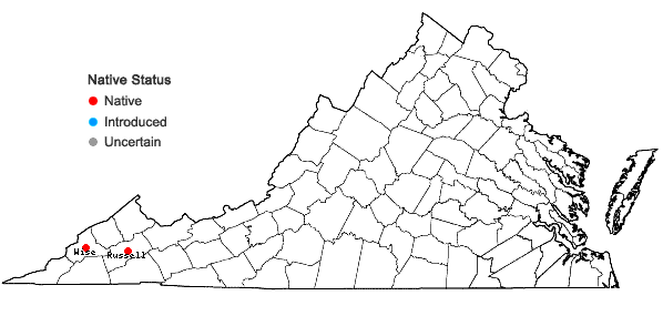 Locations ofSymphyotrichum pratense (Raf.) Nesom in Virginia