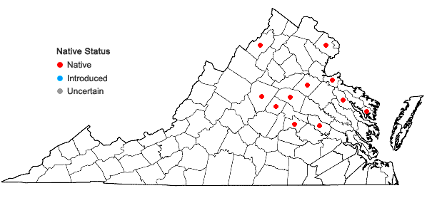 Locations ofSymphyotrichum racemosum (Ell.) Nesom var. subdumosum (Wieg.) Nesom in Virginia