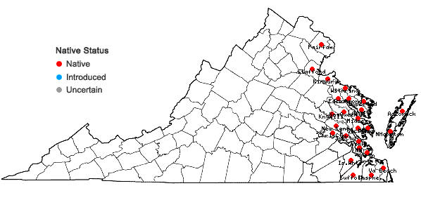 Locations ofSymphyotrichum subulatum (Michx.) Nesom in Virginia