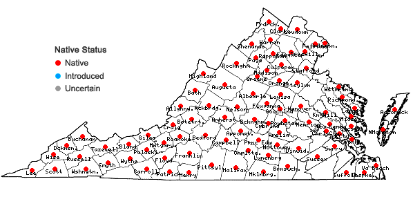 Locations ofSymphyotrichum undulatum (L.) Nesom in Virginia
