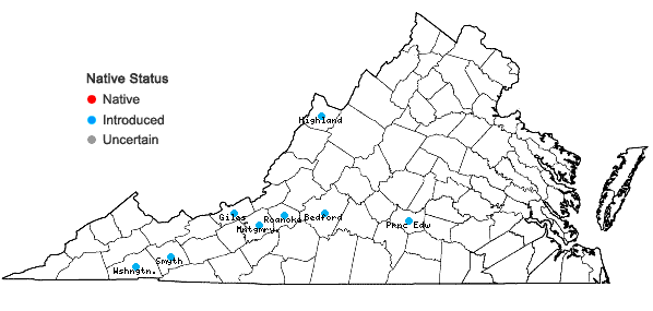 Locations ofSymphytum officinale L. in Virginia