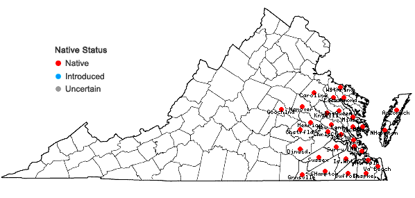 Locations ofSymplocos tinctoria (L.) L'Her. in Virginia