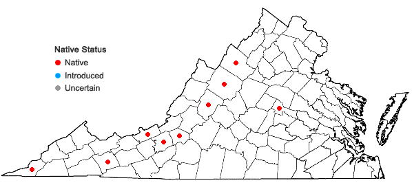 Locations ofSyntrichia fragilis (Taylor) Ochyra in Virginia