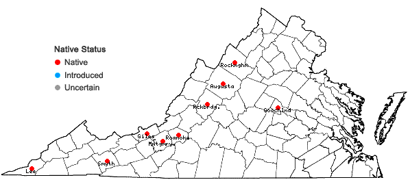 Locations ofSyntrichia fragilis (Taylor) Ochyra in Virginia
