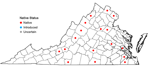 Locations ofSyntrichia laevipila Brid. in Virginia