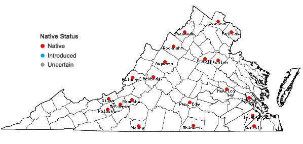 Locations ofSyntrichia pagorum (Milde) J.J. Amann in Virginia
