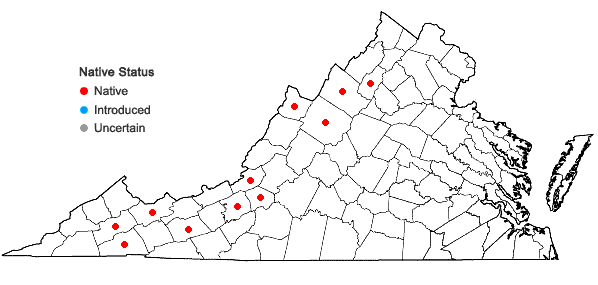 Locations ofSyntrichia papillosa (Wilson) Jur. in Virginia